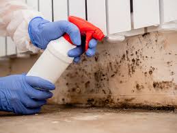 Best Emergency Mold Remediation  in Canal Fulton, OH